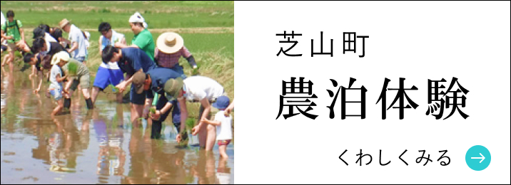 農泊体験