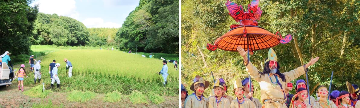 秋のイベント情報