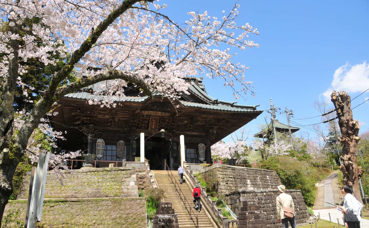 芝山仁王尊 観音教寺