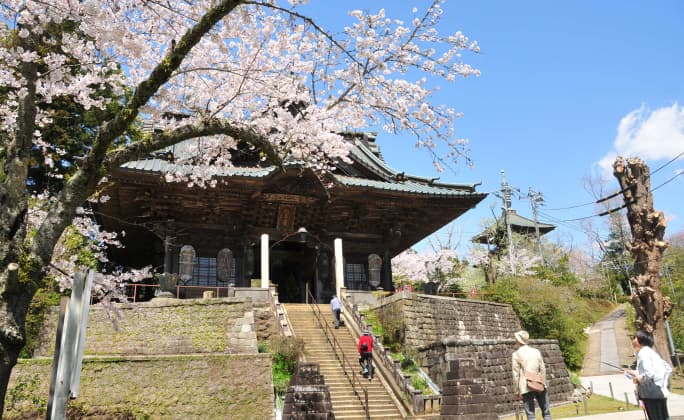 芝山仁王尊  観音教寺