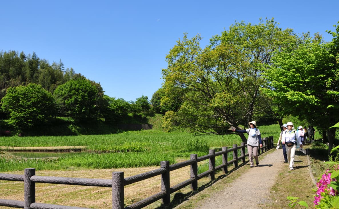芝山水辺の里